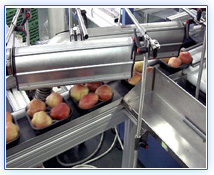 Food Drying / Cleaning Applications Food Drying / Cleaning Applications